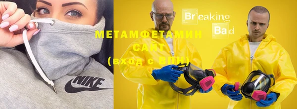 прущие грибы Гатчина