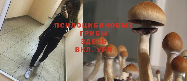 СК Алексеевка