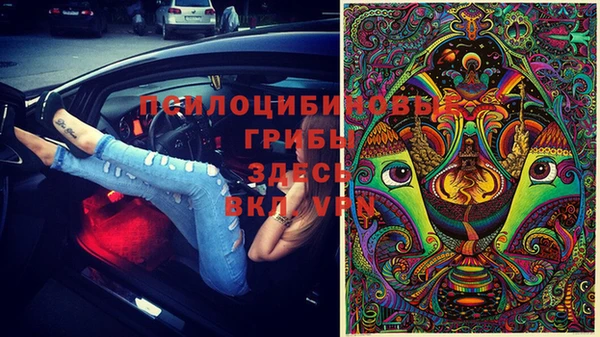 стафф Галич