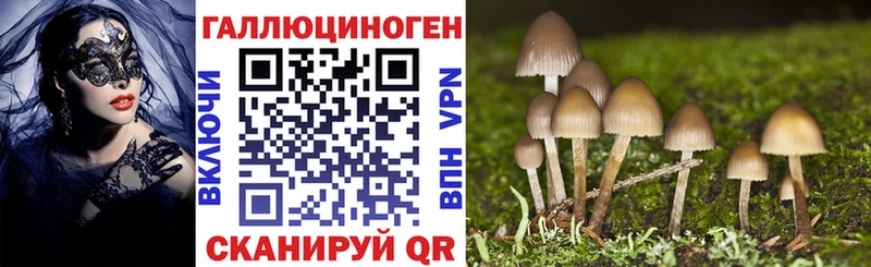 Псилоцибиновые грибы MAGIC MUSHROOMS  маркетплейс клад  Добрянка  купить  